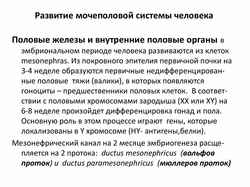 Развитие мочевыделительной системы. Развитие органов мочевой системы. этапы развития мочеполовой системы. этапы развития мочевыделительной системы. развитие органов мочевыделительной системы.