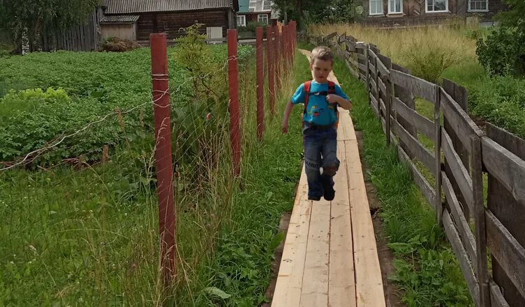 Подслушано павино в контакте. Деревня Павино Костромская область. Павино Новосибирская область. Россия, Костромская область, село Павино. Главная улица с Павино Костромская область.