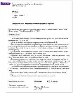 Приказ о проведении аудита