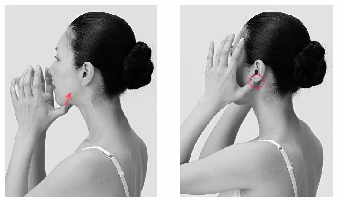 Звериные ушки. Поджать ушки. Поджать ушки. Лошадь прижала уши. Уши животных.