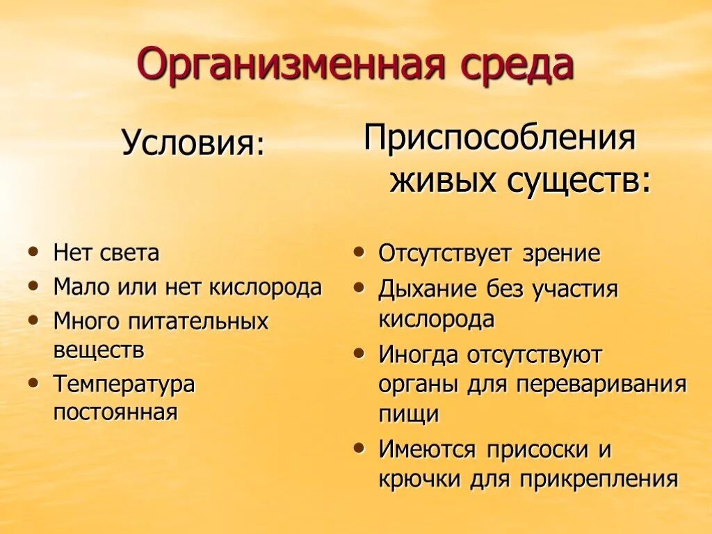 Как приспосабливаются к почвенной среде обитания. Условия почвенной среды обитания. Условия почвенной среды. Почвенная среда обитания условия среды. Условия жизни в почвенной среде.