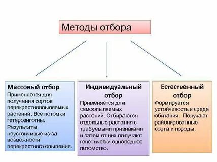 Применение массового отбора