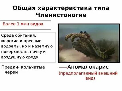 Общая характеристика класса это