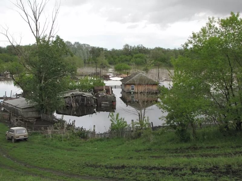 С Чеканиха Усть-Пристанского района Алтайского края. Село Чеканиха Алтайский край. Вяткино Усть-Пристанский. Усть Чарышская Пристань Авангард. Погода клепиково усть пристанский район алтайского края