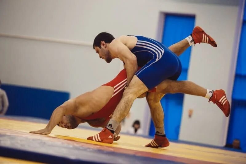 селезнев сергей викторович греко-римская борьба. у борца ростов. чемпионат европы по греко-римской борьбе 2019. ринат рафикович греко римской борьбе. виктор ведерников греко римская борьба.