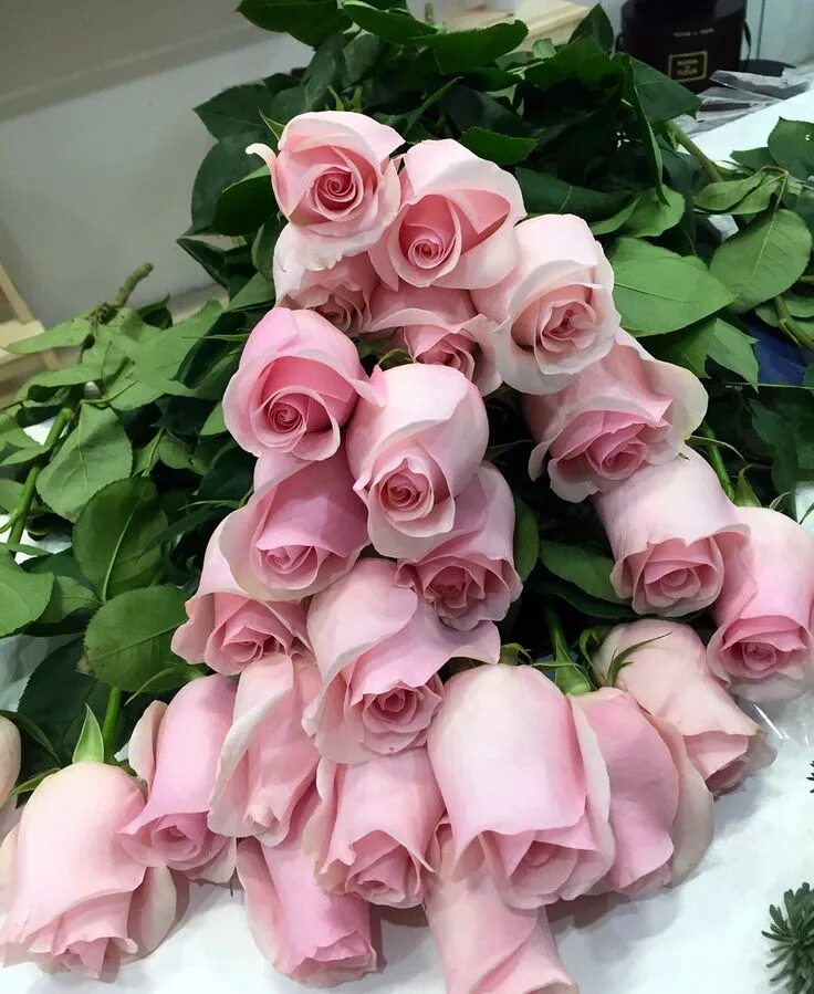 Pin by Mausi Reh on Blumensträusse, Gestecke ! Red rose bouquet, Rose flower wal