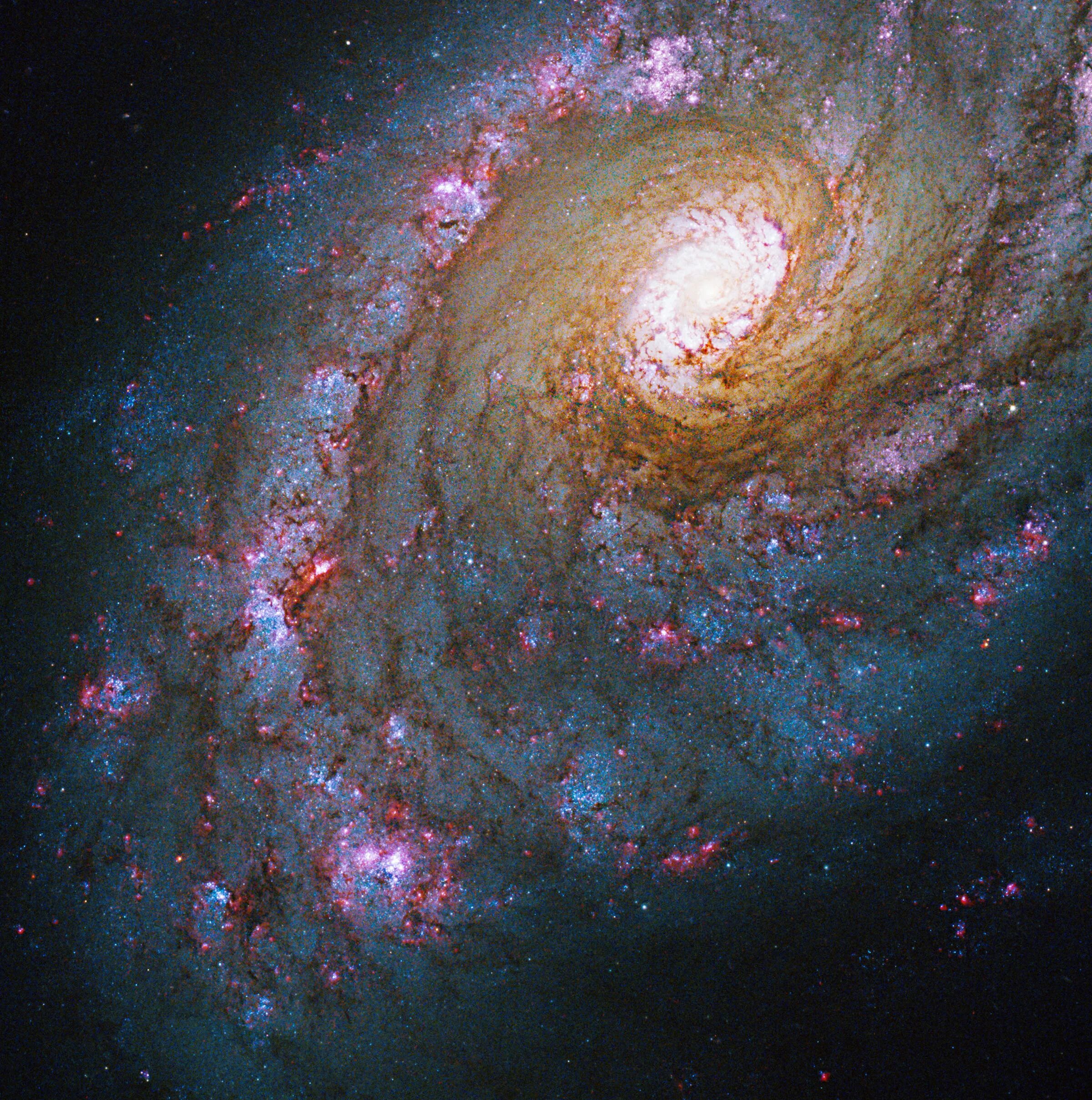 20 апреля космос. Галактика NGC 7674. Космический телескоп Hubble. Спиральная Галактика Джеймса Уэбба. НАСА снимки телескопа ХАБЛ.