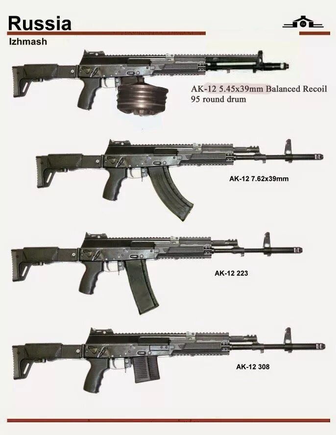 Форт 221 штурмовая винтовка. АК-12 автомат. АК-12 7.62х39. АК 12 В обвесе.