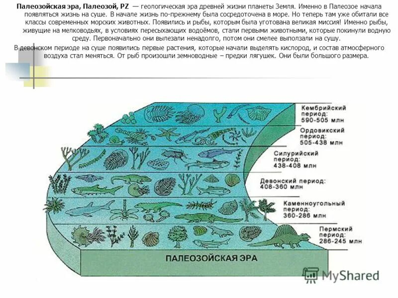 палеозойская эра схема периоды. палеозойская эра презентация. палеозой презентация 11 класс. палеозой презентация 11 класс. таблица палеозойская эра периоды животного и растительного мира.