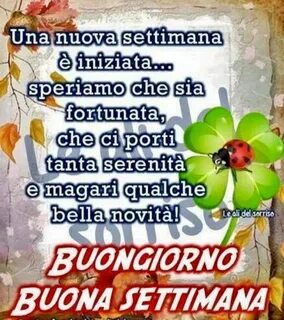 Bellissime immagini Buon Lunedì 1834 