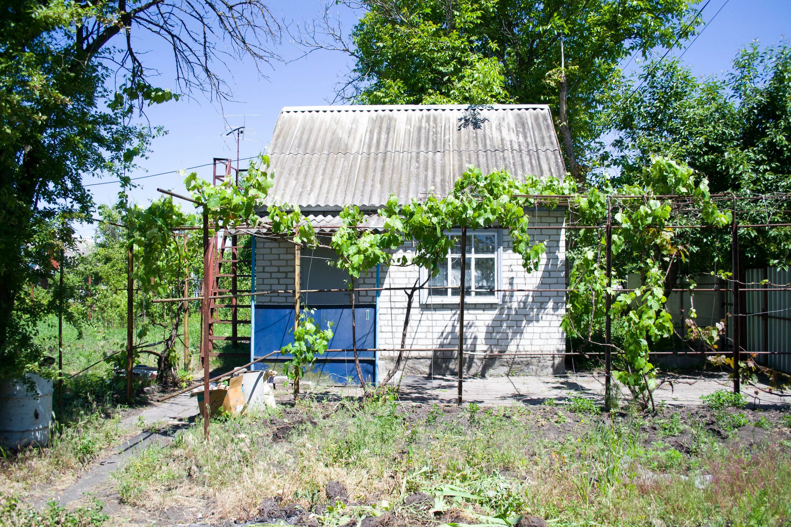 Дача в кооперативе. Дача Луганск. Дача в ДНР. Дачи ЛНР. Продажа домов днр