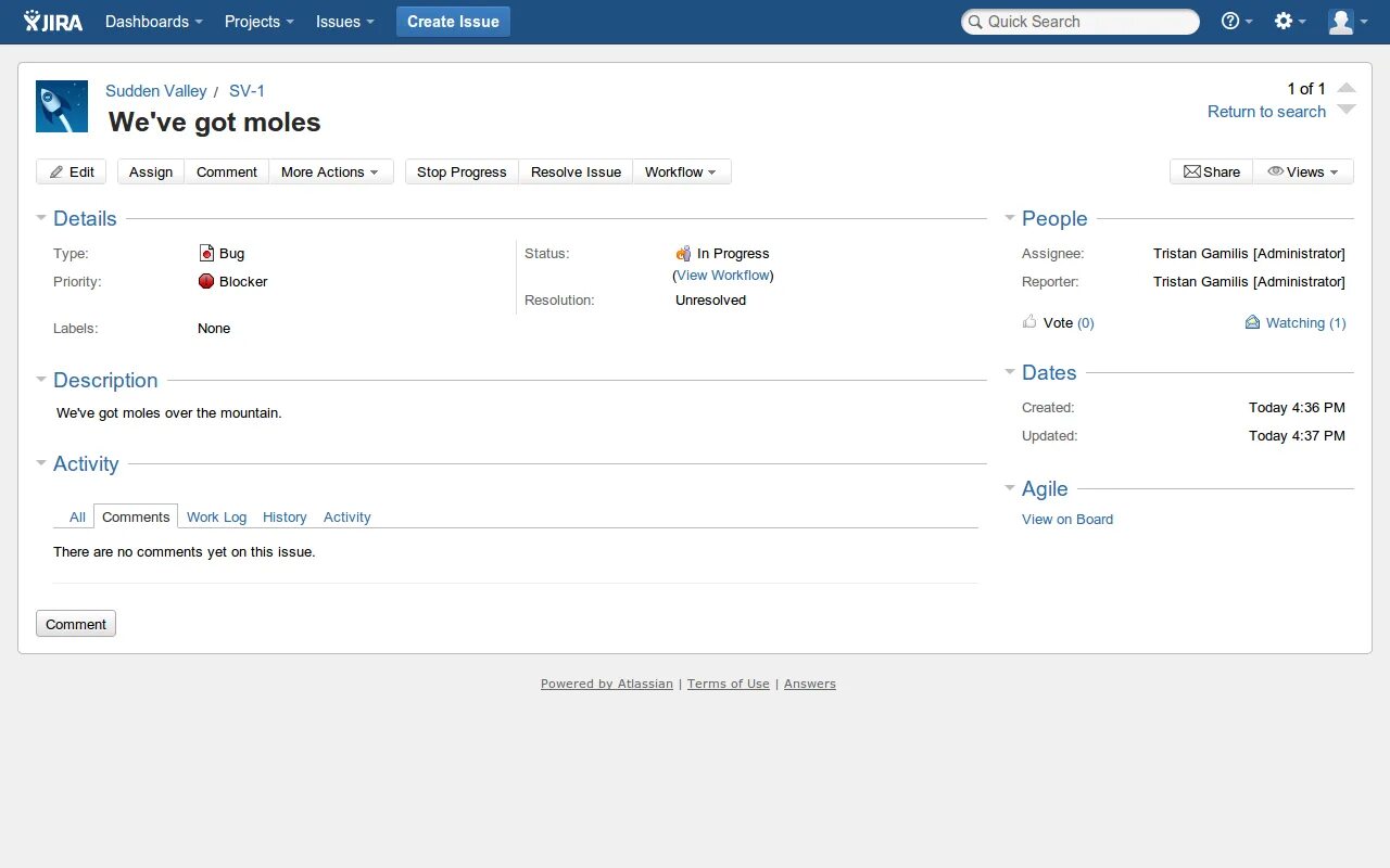 Jira get issue. Jira. jira таблицы. time tracking jira. jira трекер.