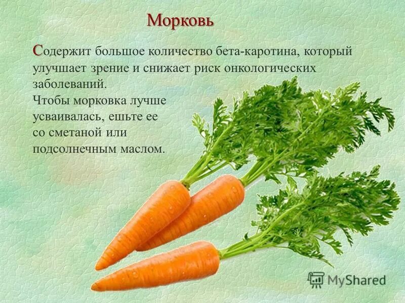 Количество каротина. Витамины содержащиеся в моркови. Продукты с высоким содержанием бета каротина. Каротиноиды в растениях. Содержание каротина.