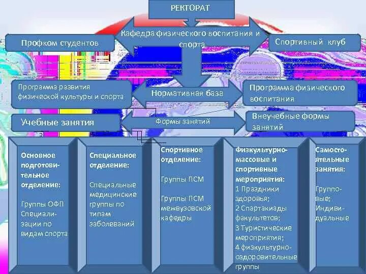 Виды кафедры. Структура кафедры физического воспитания в вузе. Кафедра физического воспитания. Организация физического воспитания в вузе. Программа развития кафедры физической культуры и спорта.