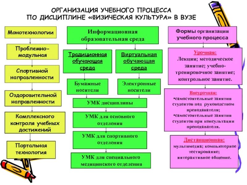 Организация учебного процесса в вузе. Дисциплина физическая культура. Организация педагогического процесса в спортивном учреждении. Организация учебного процесса на физре.