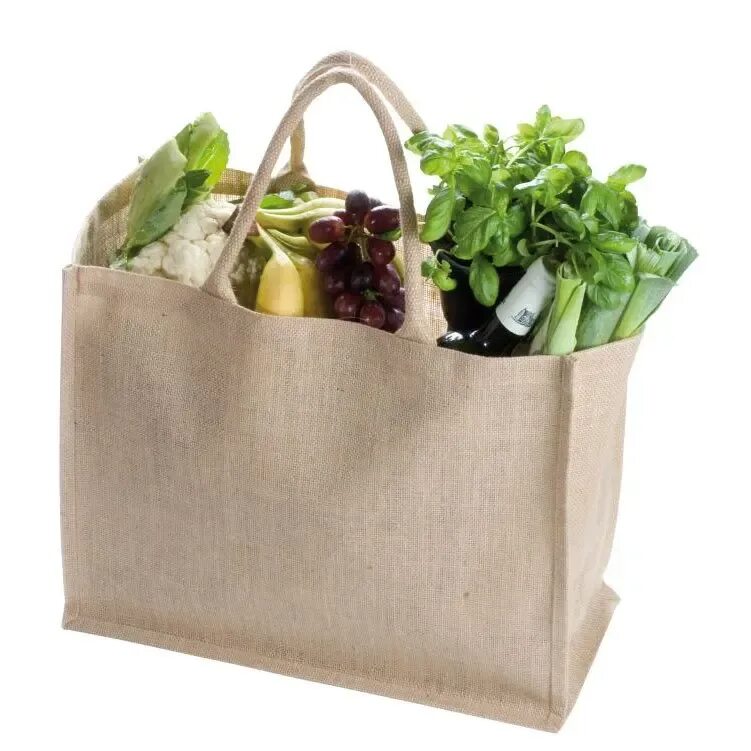 Продуктовая сумка. Экологичная сумка для продуктов. Эко сумки для продуктов. Тряпичные сумки для продуктов. Сумка для продуктов тканевая.