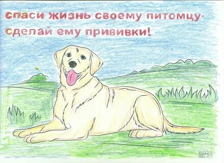 Класс спаси