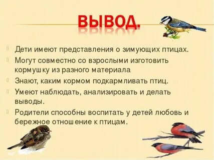 Презентация о птицах для начальной школы