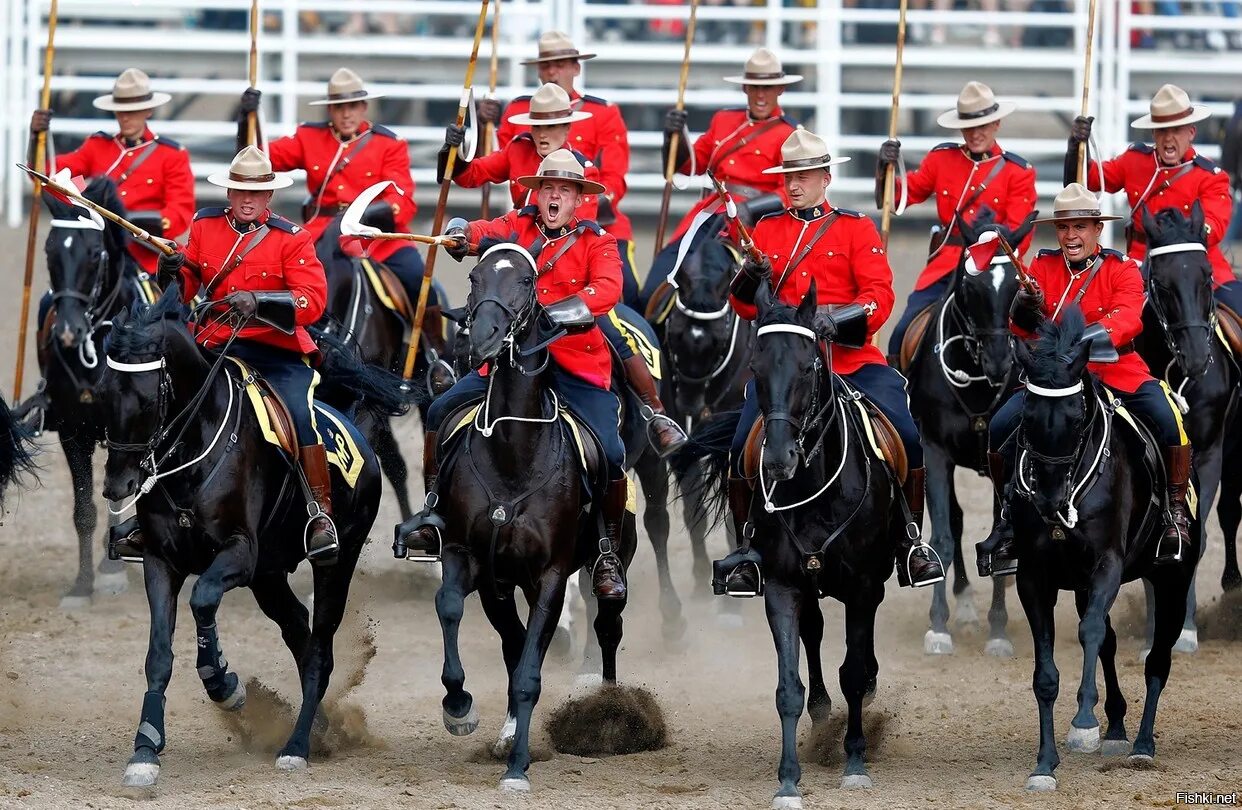 Королевская горная полиция в канаде. Конская полиция канады. Rcmp королевская канадская конная полиция. Королевская конная полиция канады. Королевская конная полиция канады форма.