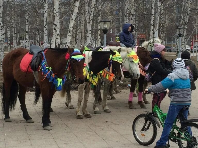 Город 3466 сайт