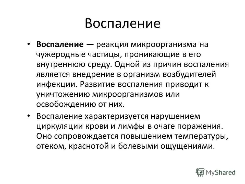 Переваривают чужеродные частицы