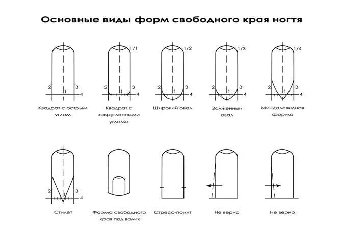 Опил формы ногтей технология для начинающих. Опил формы овал схема. центральная ось ногтя схема. форма овал схема сбоку ногти. центральная ось пальца схема.