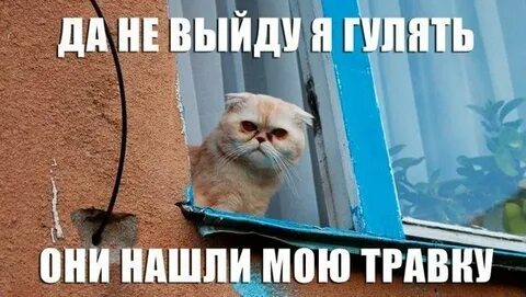 Бы будете гулять