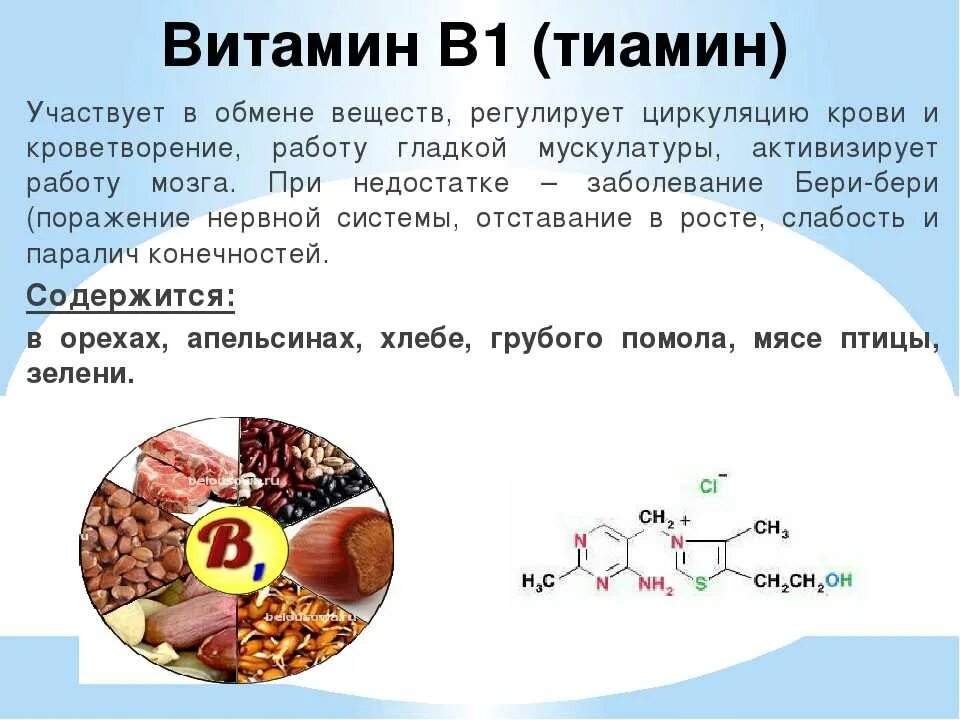 Б6 побочки. Витамин b1 тиамин. Витамины b1 b6 в12. Витамин b1 тиамин роль в организме. Роль в организме витамина b12 кратко.