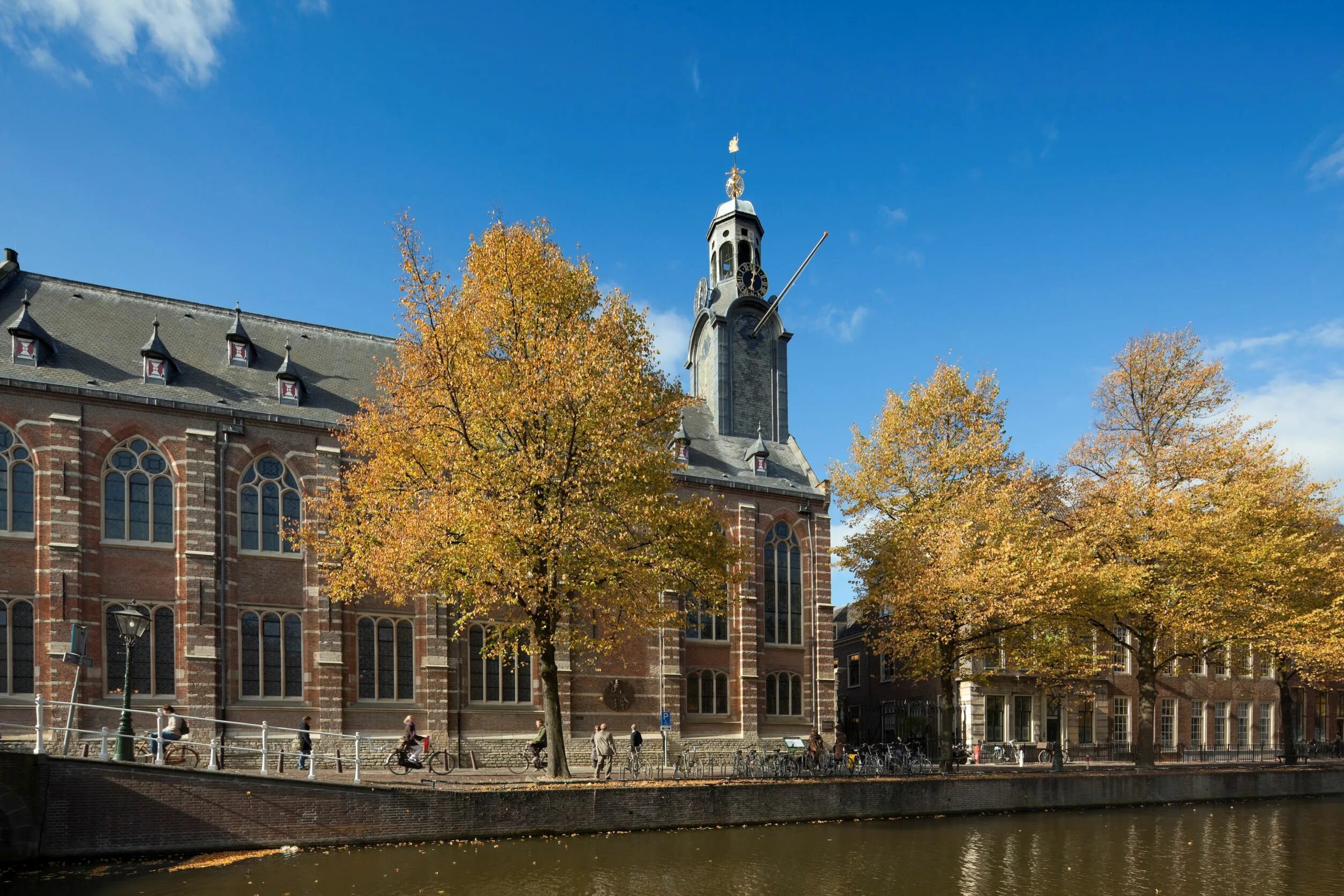 Die leiden