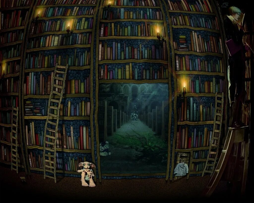 Поиск по книгам новых