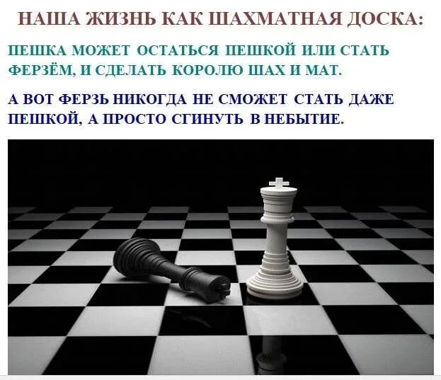 Шаг и мат. Пешка на шахматной доске. Жизнь как шахматная доскк. Шахматный черный ферзь на доске. Жизнь шахматная доска.