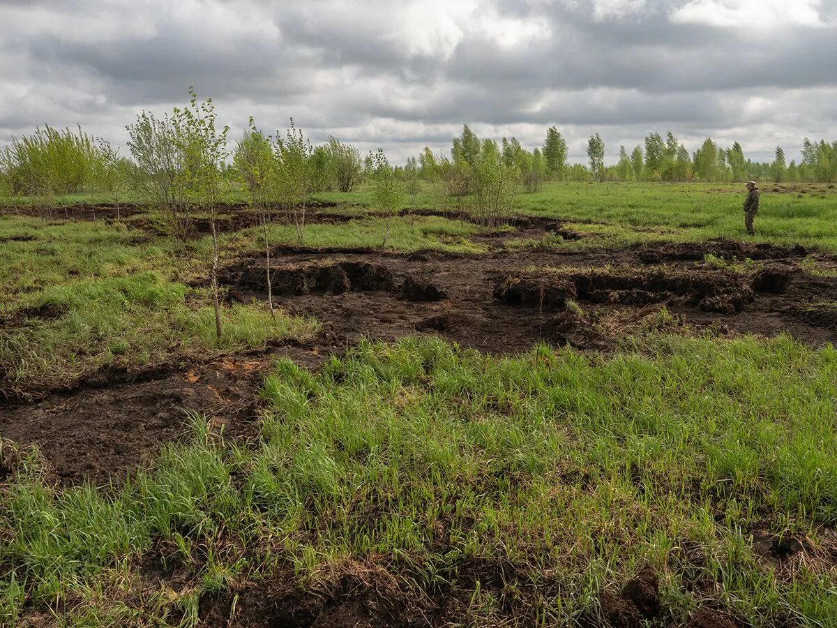 Его добывают на болотах окружающий. Торфяные болота Вологда. Торфяные болота ХМАО. Торфяные месторождения Брянской области. Торфяные болота Московской области.