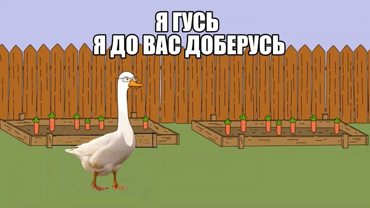 Я гусь. Гусь мем. Я гусь я до тебя доберусь. Комиксы с гусем. Куплинов симулятор гуся.
