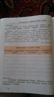 Подбери из текста