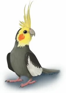 Картинки корела