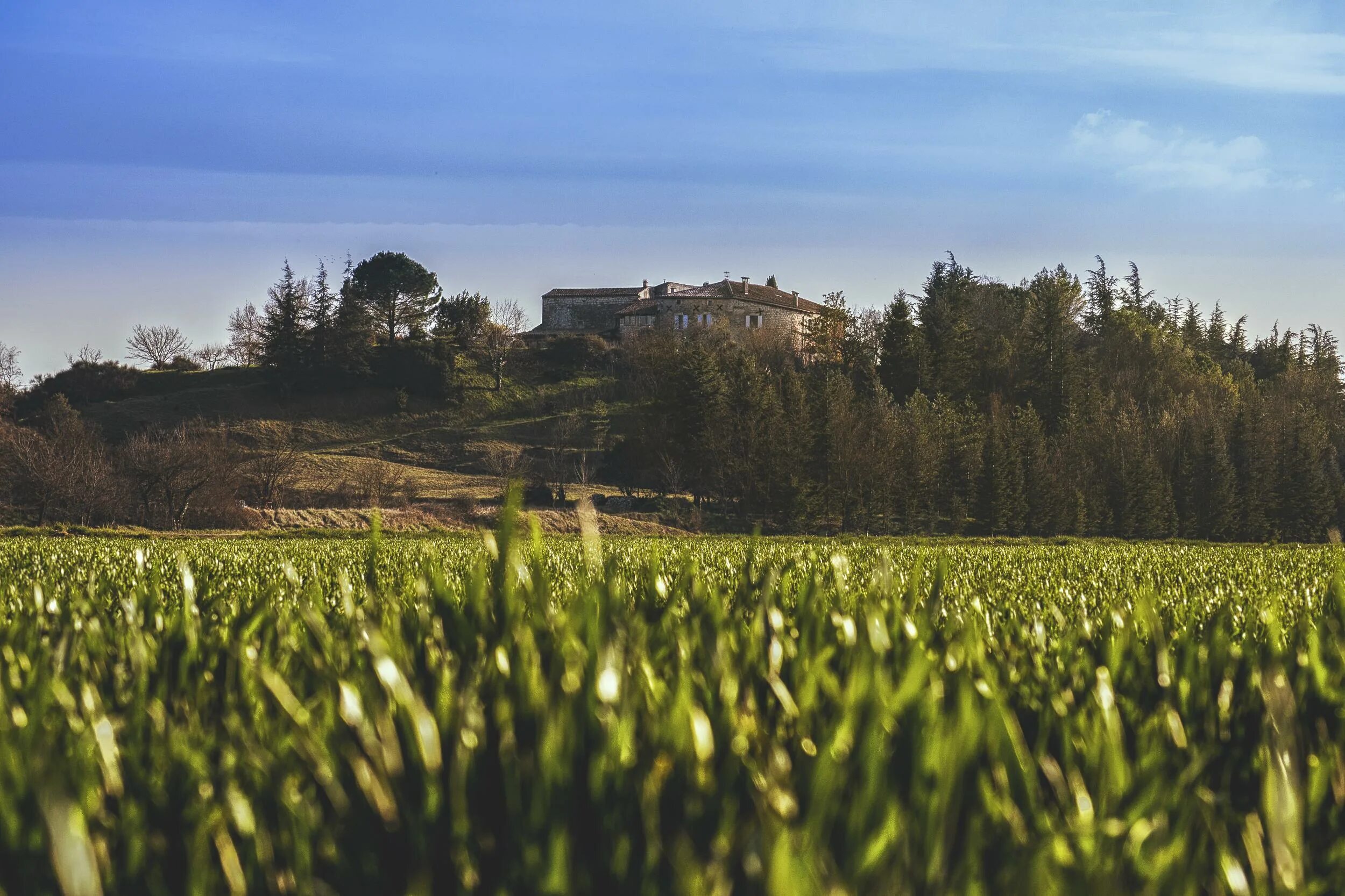 Газон на заднем дворе. Days view. Wall street вид с дороги. View low. Светлые стрит фоны.