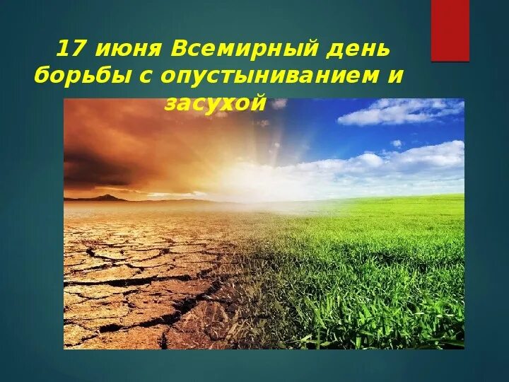 17 Июня день борьбы с опустыниванием. Всемирный день с опустыниванием и засухой. Всемирный день по борьбе с опустыниванием и засухой. 17 Июня - Всемирный день борьбы с опустыниванием и засухами (с 1995 г.).