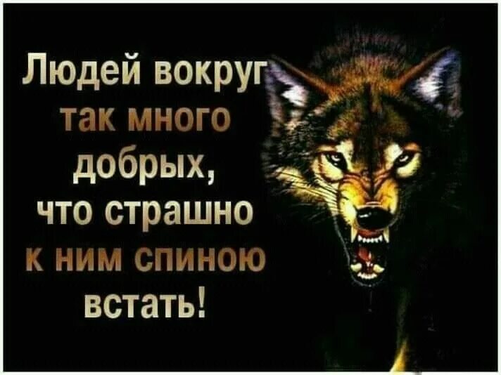 Встать страшно. Людей вокруг так много добрых что страшно к ним спиною встать. вокруг людей так много добрых что страшно. людей вокруг так много добрых что. вокруг так много.