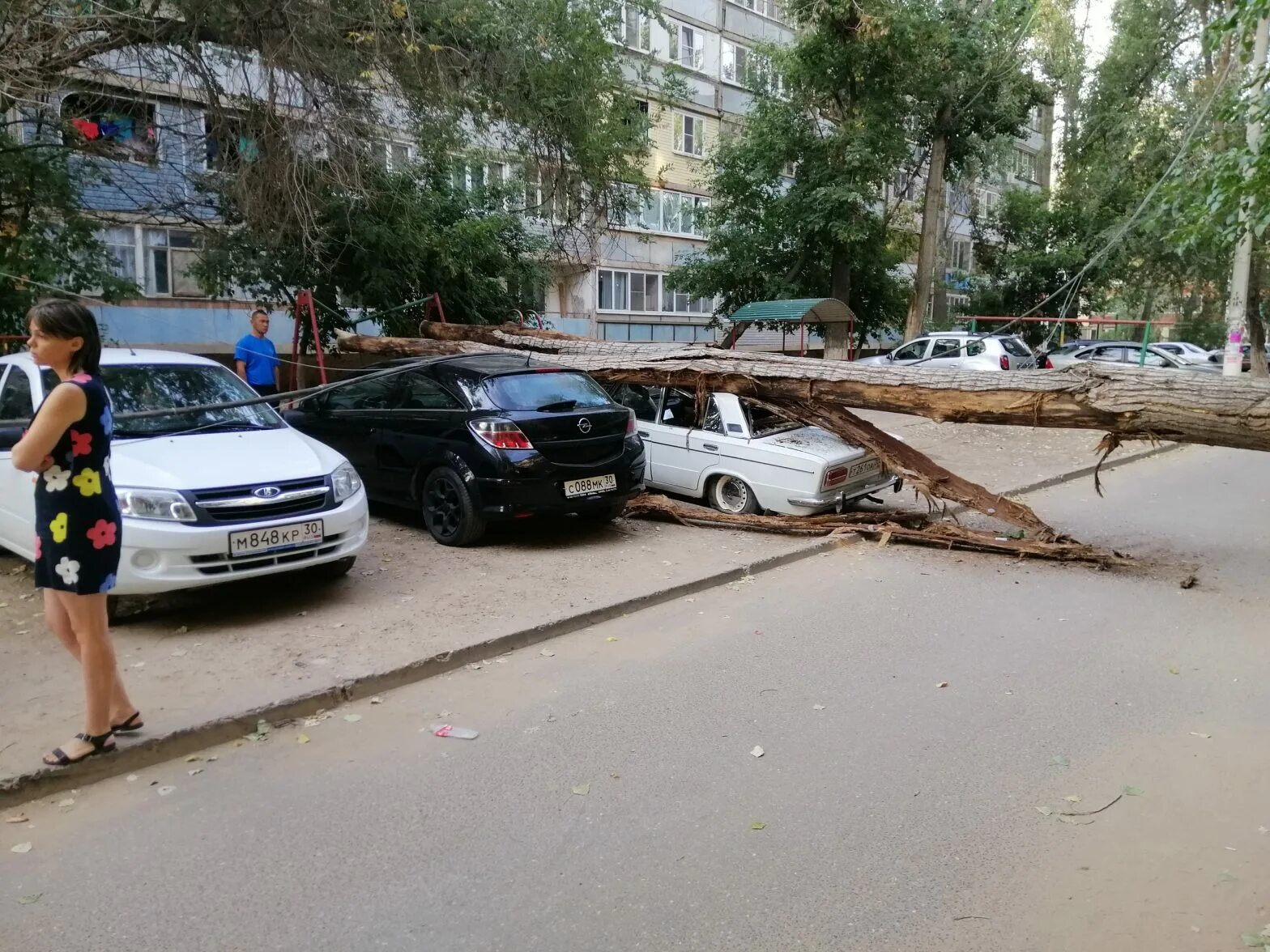 Дерево раздавило автомобиль. Астрахань сейчас. Что случилось сегодня в астрахани