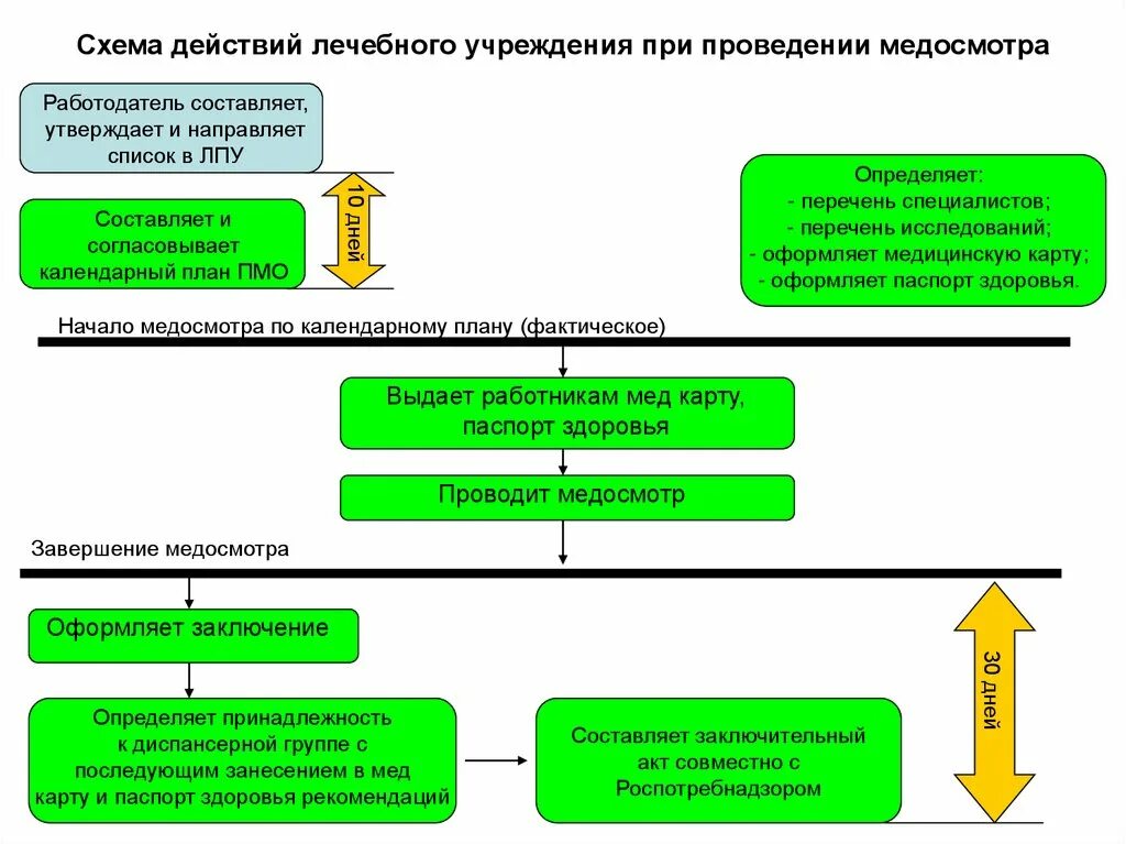 Схема проведения медосмотров. Алгоритм проведения медицинского осмотра. Порядок проведения медицинских осмотров схема. Схемы организации профилактического медицинского осмотра. Этапы профилактического медицинского осмотра