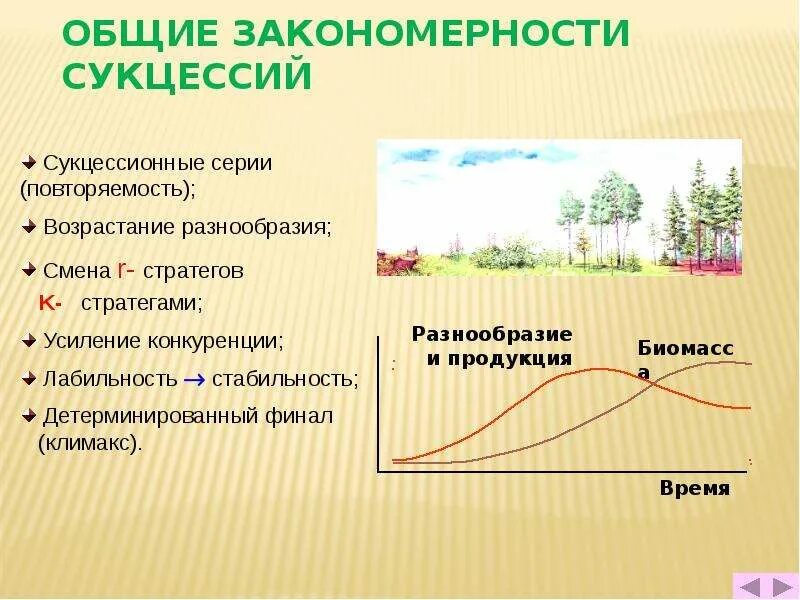 Последовательная закономерная смена сообществ. Климаксное сообщество этапы сукцессии. основные закономерности сукцессии. общие закономерности сукцессии. перечислите общие закономерности сукцессий.