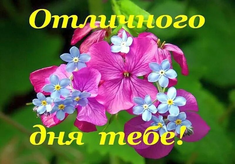 Галя доброго. Добрый день галя. доброго тебе дня. отличного тебе дня. хорошего дня тебе.