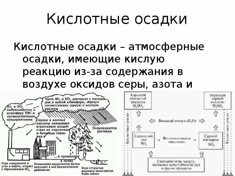 Что такое кислотный дождь кратко. Кислотные осадки. Кислотные дожди. Воздействие кислотных дождей. Кислотные атмосферные осадки.