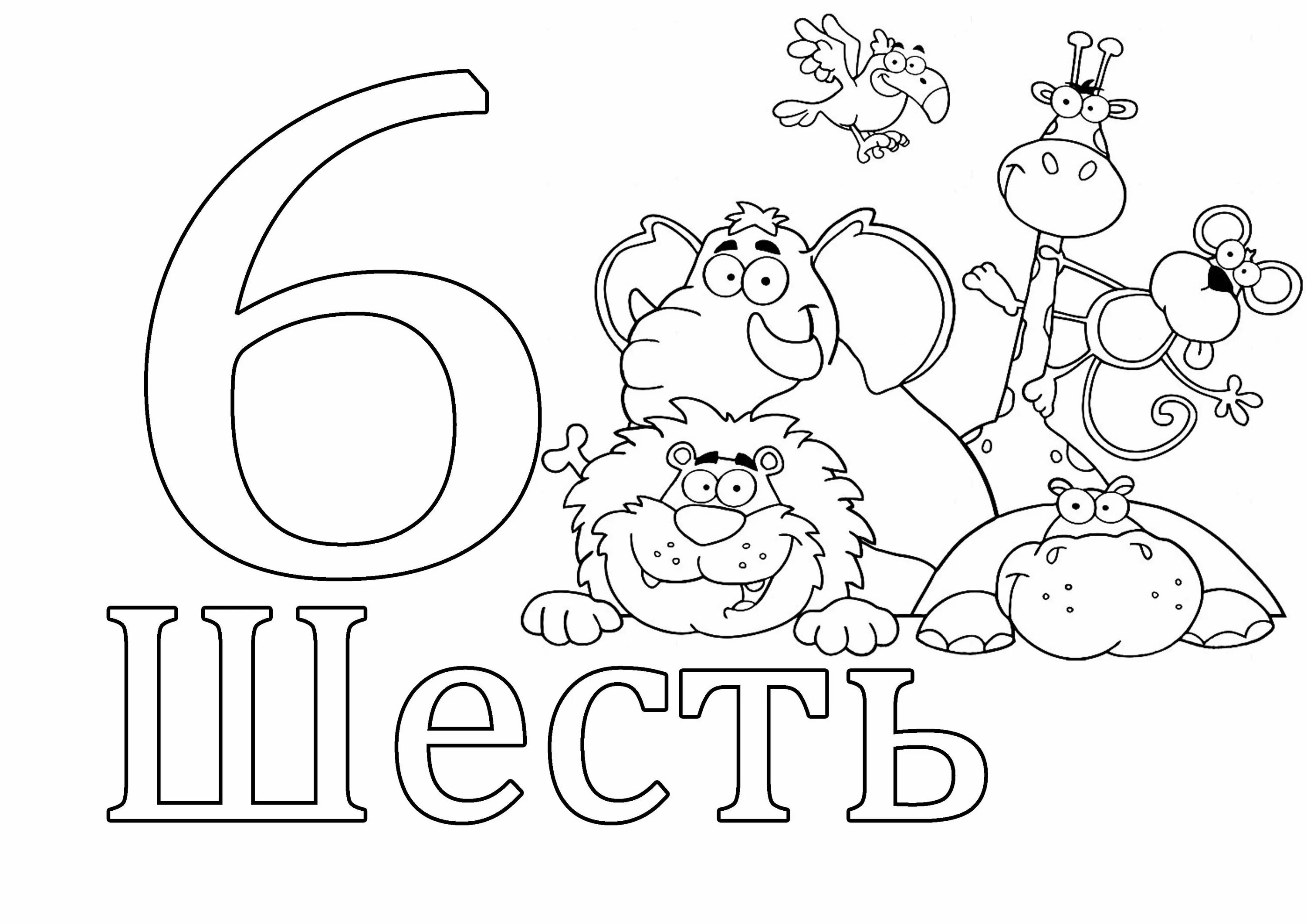 6 рисунок 1 6. Раскраски. Раскраска цифры. Цифра 6 раскраска. Цифра шесть раскраска.