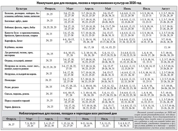 Посадочный календарь. Посевной календарь таблица. Лунный посадочный календарь. Таблицу лунного посадочного календаря. Лунный посевной календарь на февраль посадочный 2024