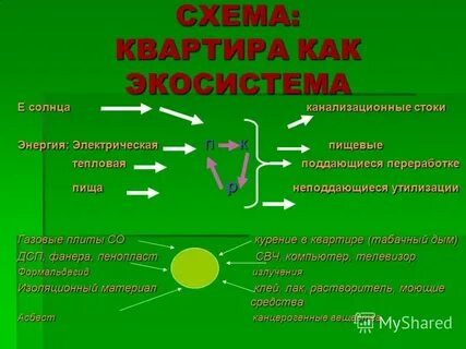 Питательная энергия