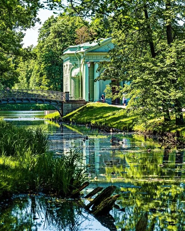 Дворцовый парк. Гатчина Санкт-Петербург Дворцовый парк. Д В Дворцовый парк в Гатчине. Павильон Венеры в Гатчинском парке. Знаки похожа Дворцовый парк Гатчина.