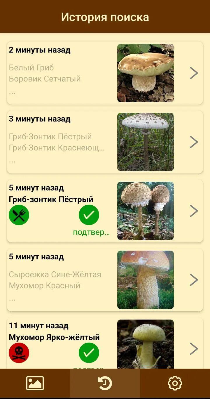 Приложение определяющее грибы. Приложение про грибы. приложение определяющие грибы по фото.