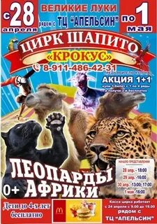 Цирк великие луки 2024