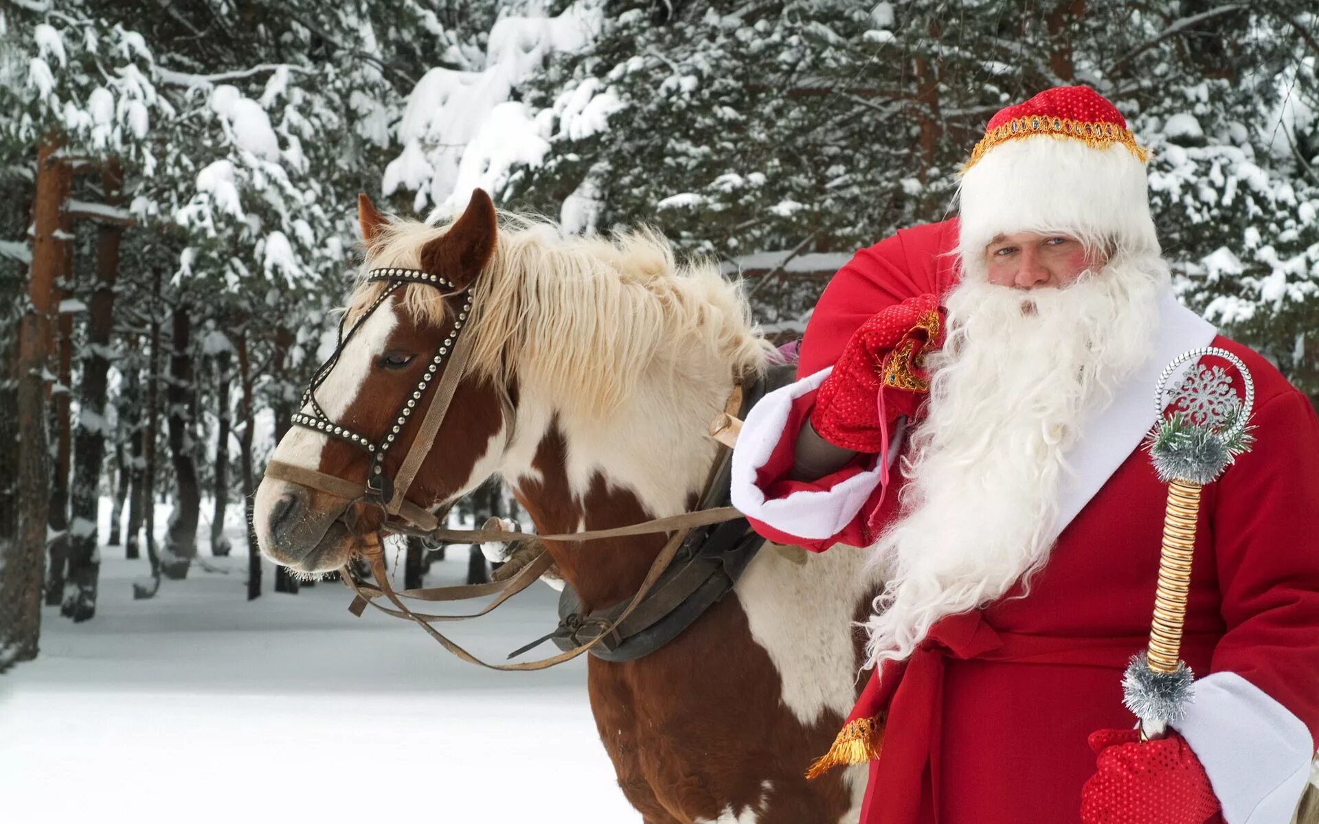 Как выглядит лет мороз Russian Santa Claus editorial image. Image of beautiful 105609085